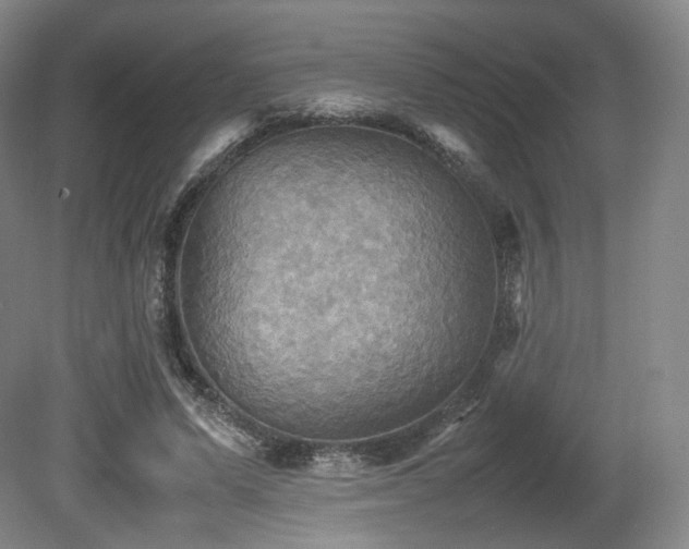 X0000080660591200612151133