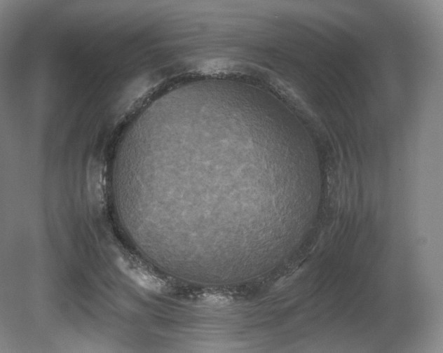 X0000080660592200612151133