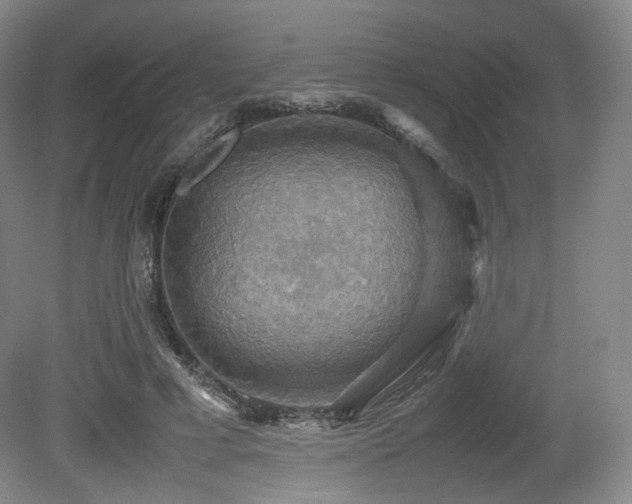 X0000080660593200612151133
