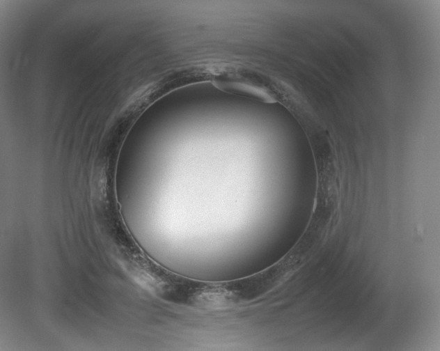 X0000080660595200612151133
