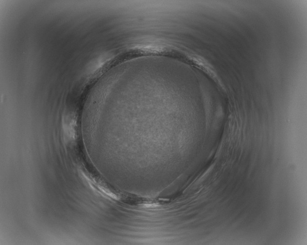 X0000080660596200612151133