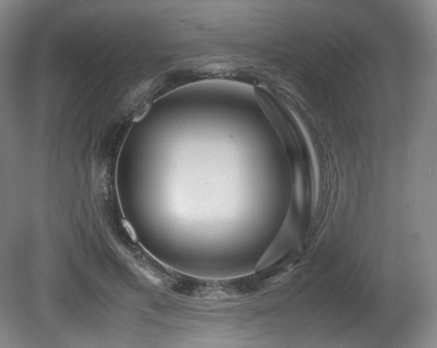 X0000080660597200612151133