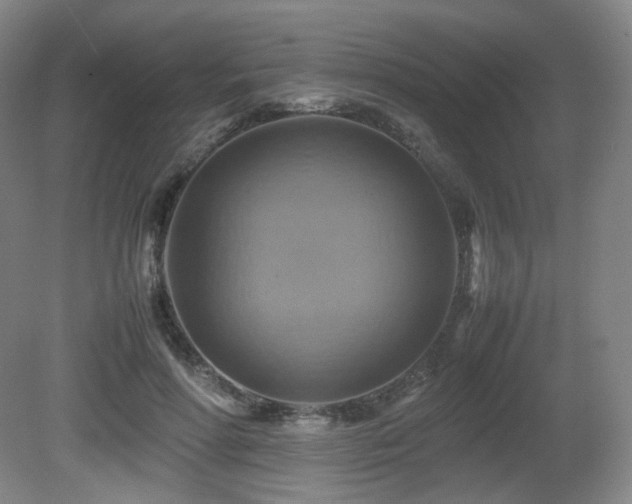 X0000080660598200612151133