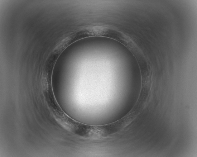 X0000080660599200612151133