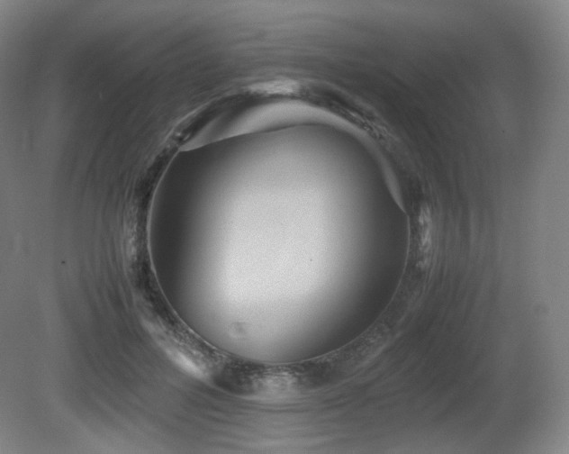 X0000080660600200612151133