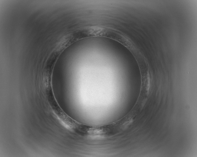 X0000080660602200612151133