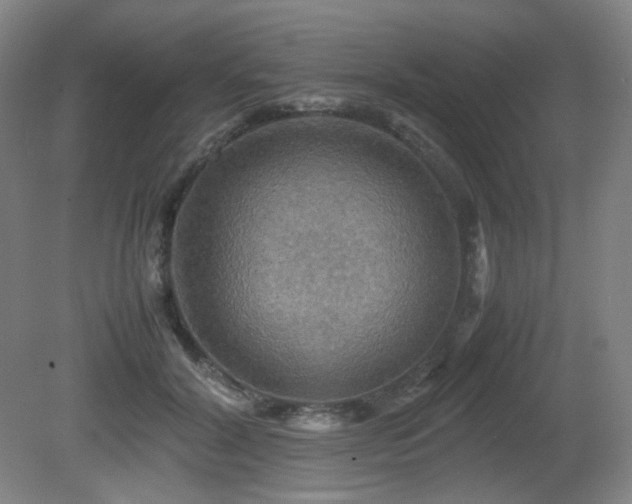 X0000080660604200612151133