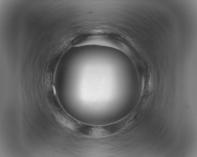 X0000080660605200612151133