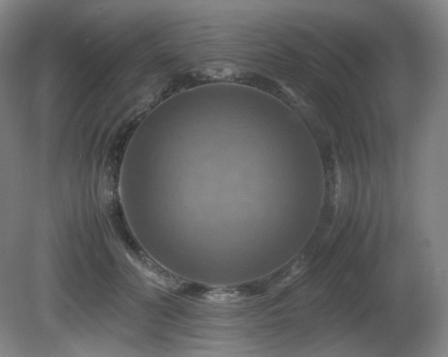 X0000080660606200612151133