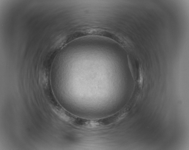 X0000080660607200612151133