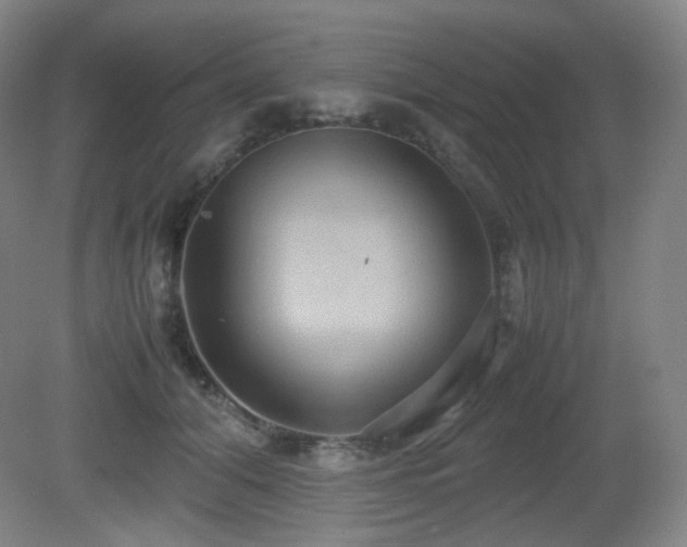 X0000080660608200612151133