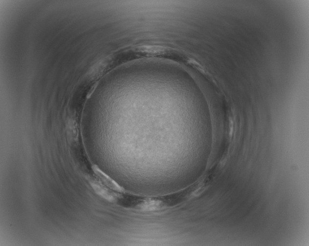 X0000080660609200612151133