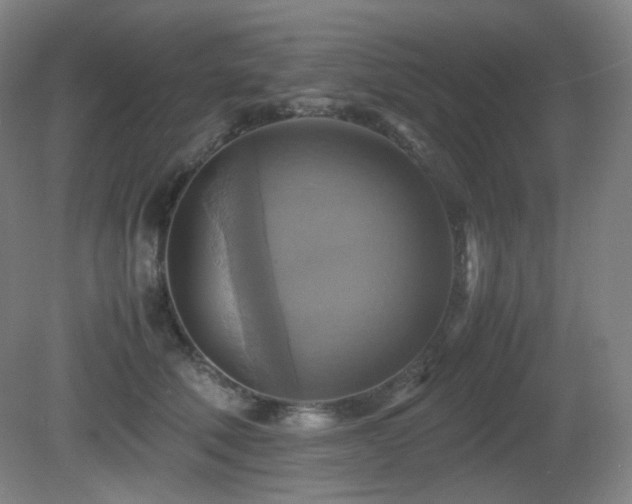 X0000080660610200612151133