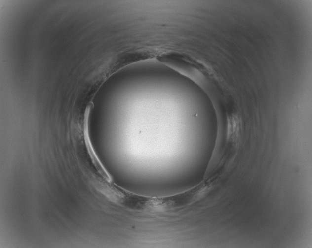 X0000080660613200612151133