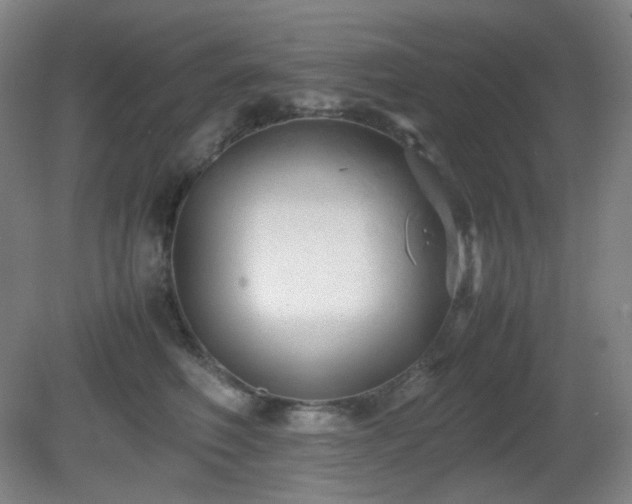 X0000080660614200612151133