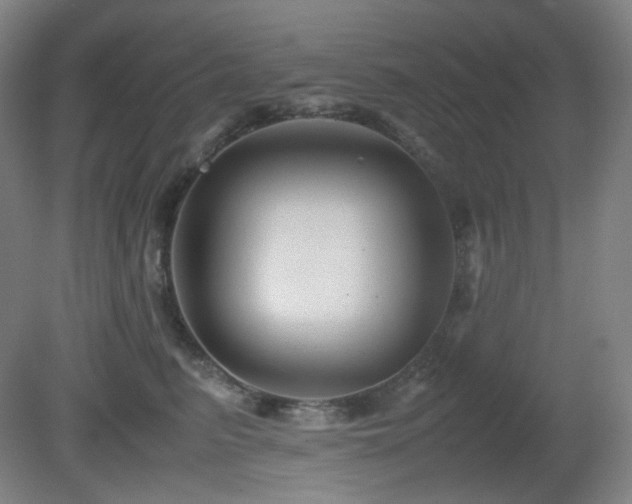 X0000080660615200612151133