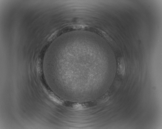 X0000080660616200612151133