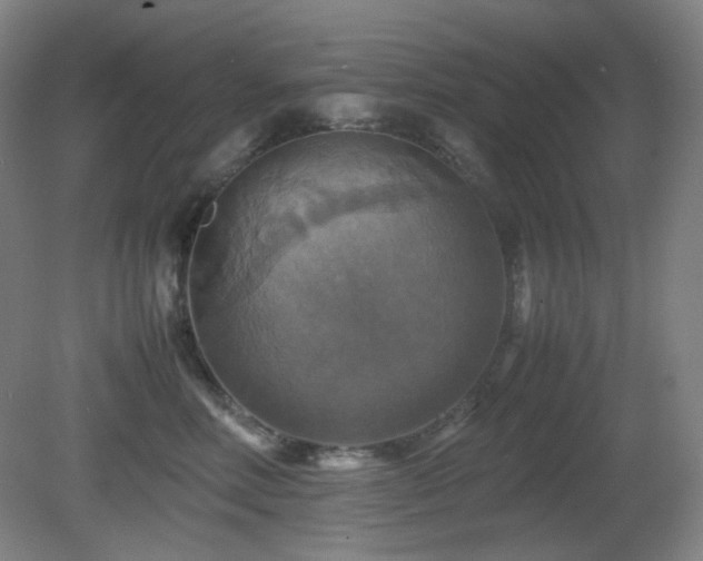 X0000080660618200612151133
