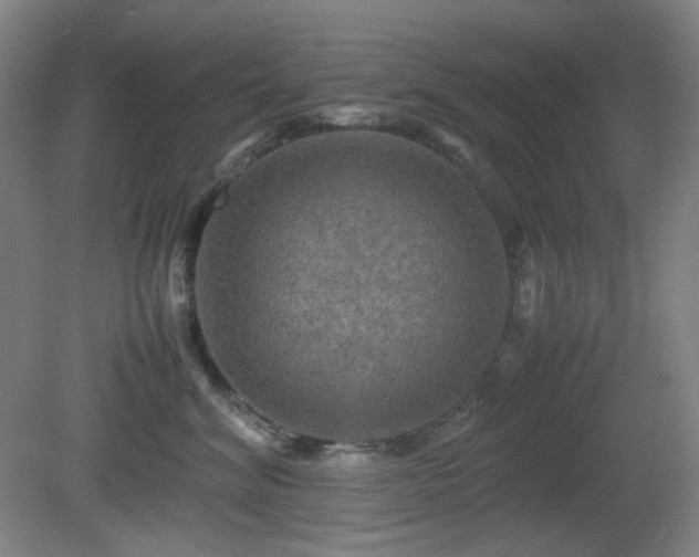 X0000080660620200612151133