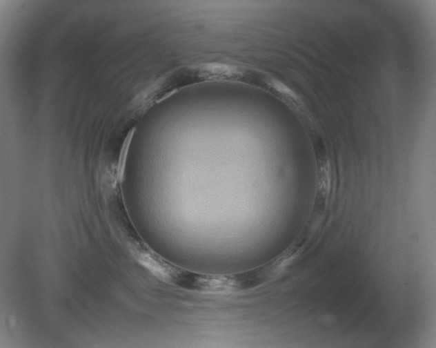 X0000080660621200612151133