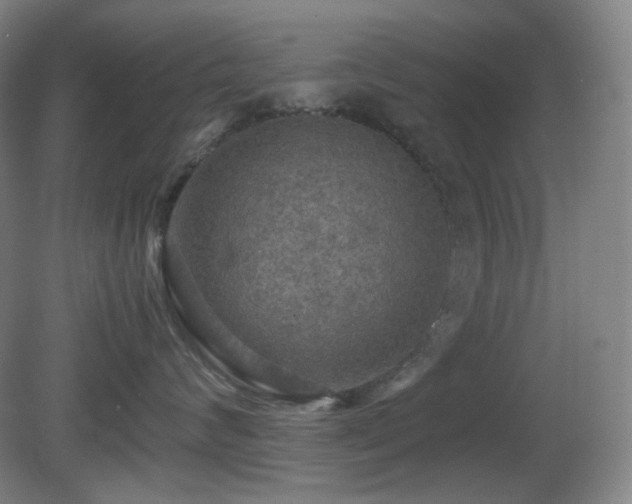 X0000080660624200612151133