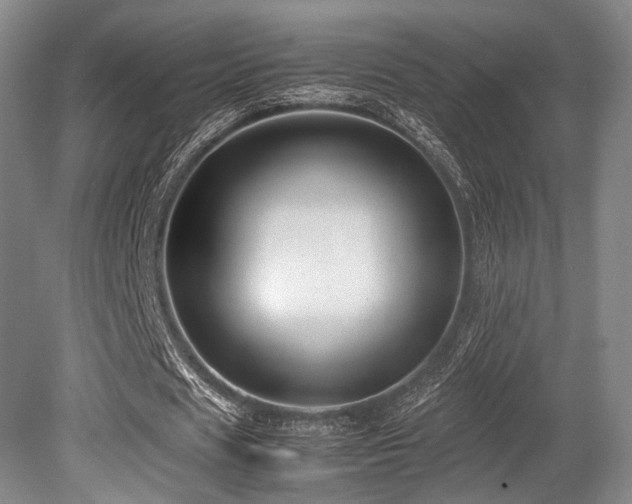 X0000080660625200612151132