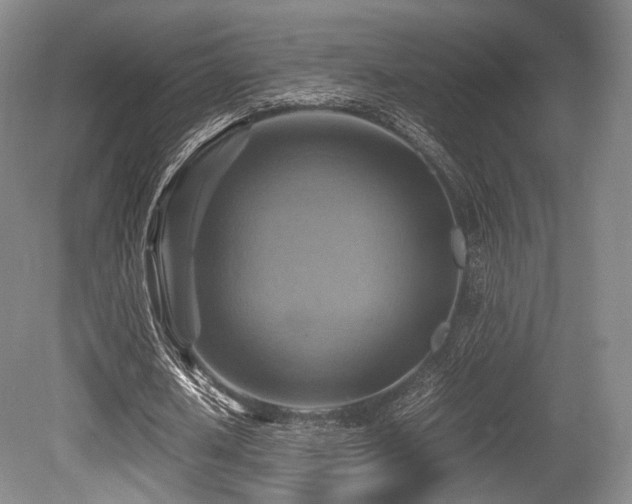 X0000080660626200612151132