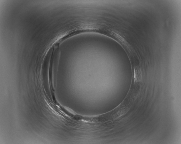 X0000080660627200612151132