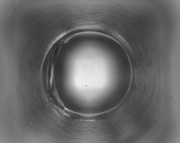 X0000080660628200612151132
