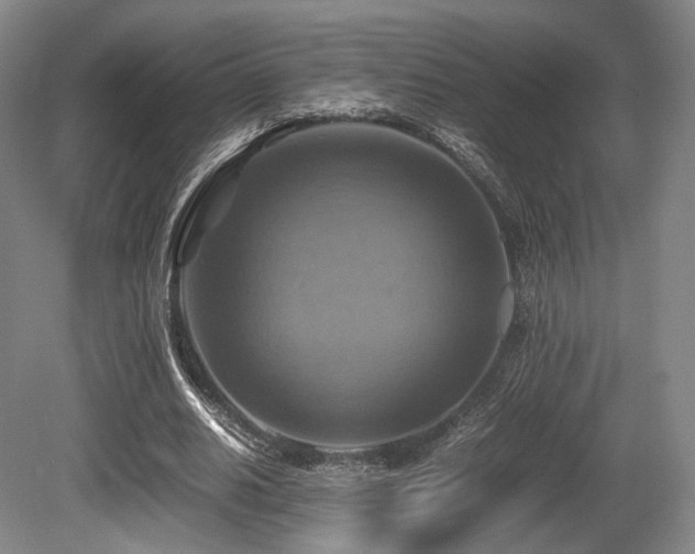 X0000080660630200612151132