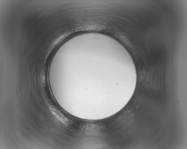 X0000080660632200612151132