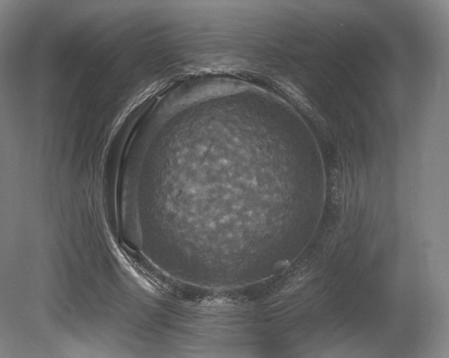 X0000080660634200612151132