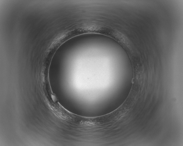 X0000080660635200612151132