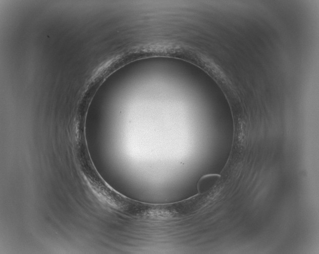 X0000080660636200612151132