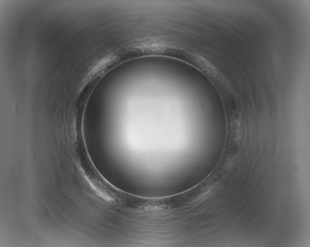 X0000080660638200612151132