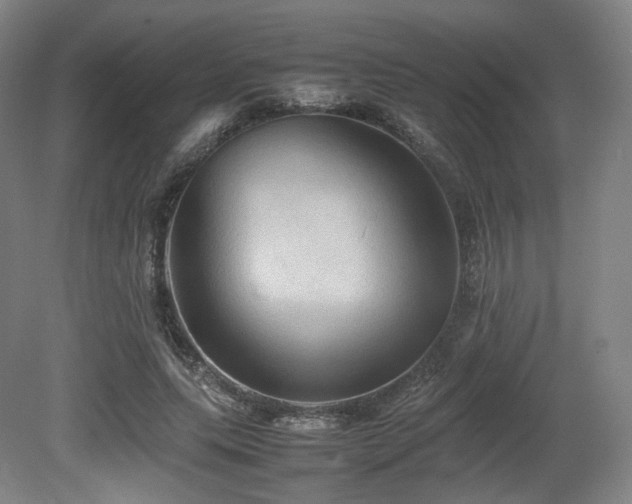 X0000080660639200612151132