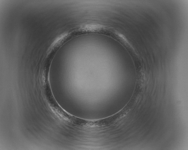X0000080660640200612151132