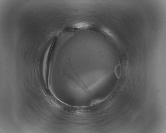 X0000080660641200612151132