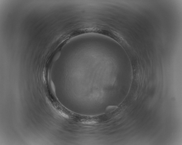 X0000080660643200612151132