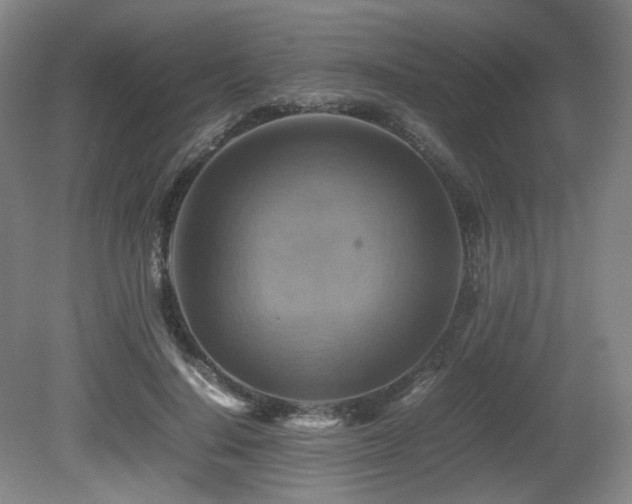 X0000080660644200612151132