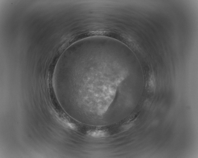 X0000080660647200612151132