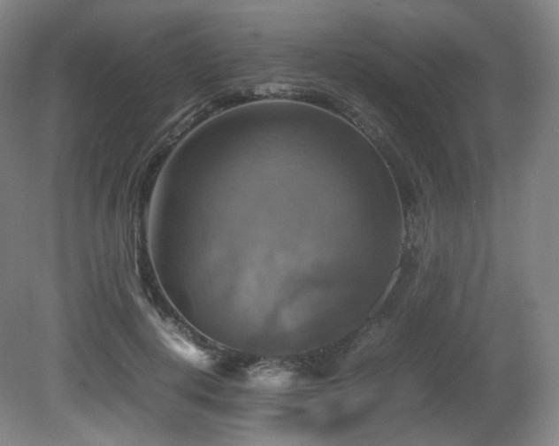 X0000080660648200612151132