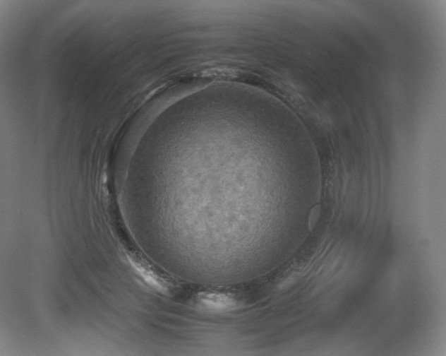X0000080660649200612151132