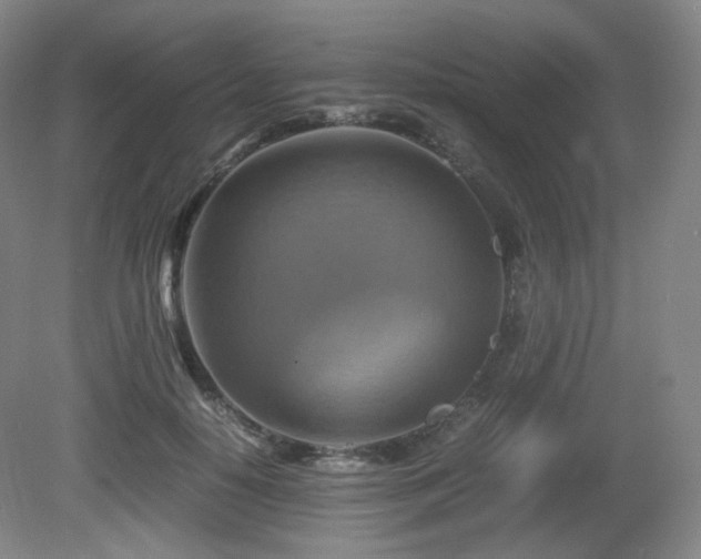 X0000080660650200612151132