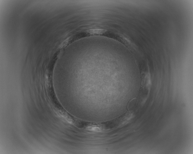 X0000080660655200612151132