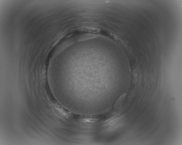 X0000080660657200612151132