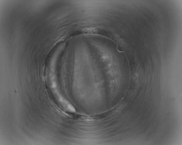 X0000080660658200612151132