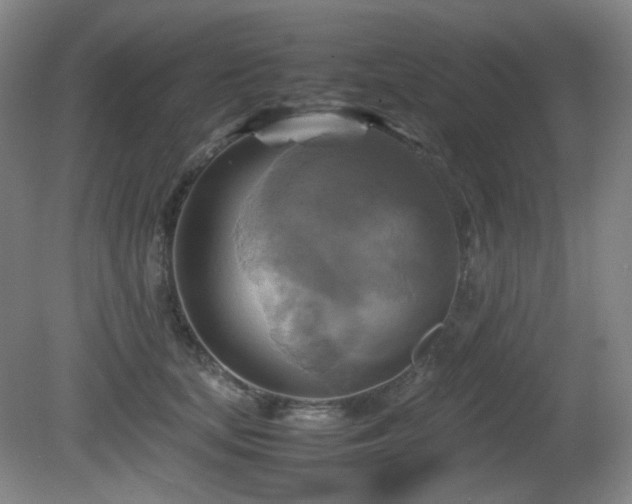 X0000080660659200612151132