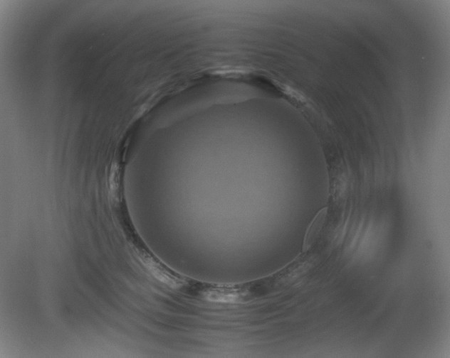 X0000080660661200612151132