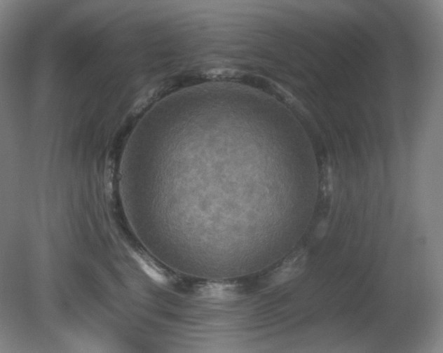 X0000080660664200612151132